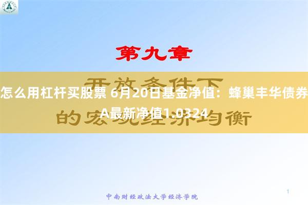 怎么用杠杆买股票 6月20日基金净值：蜂巢丰华债券A最新净值1.0324