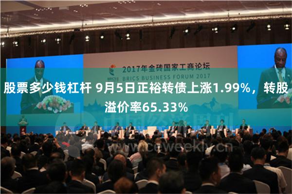 股票多少钱杠杆 9月5日正裕转债上涨1.99%，转股溢价率65.33%