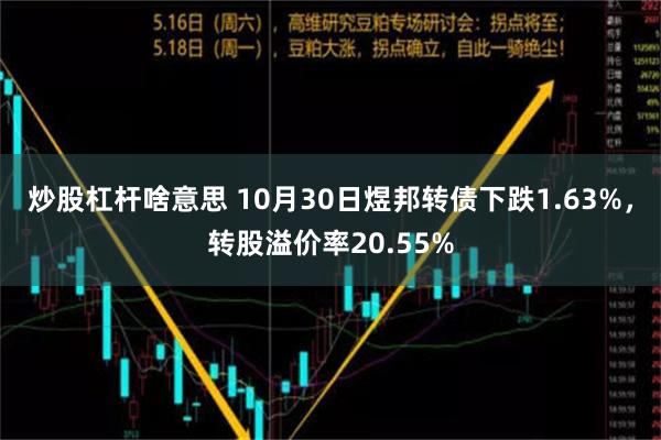 炒股杠杆啥意思 10月30日煜邦转债下跌1.63%，转股溢价率20.55%