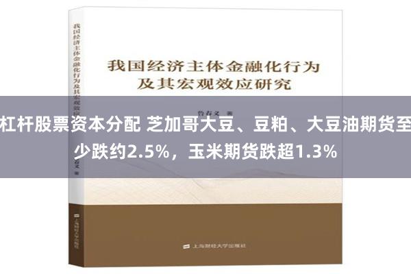 杠杆股票资本分配 芝加哥大豆、豆粕、大豆油期货至少跌约2.5%，玉米期货跌超1.3%