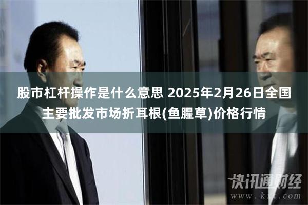 股市杠杆操作是什么意思 2025年2月26日全国主要批发市场折耳根(鱼腥草)价格行情