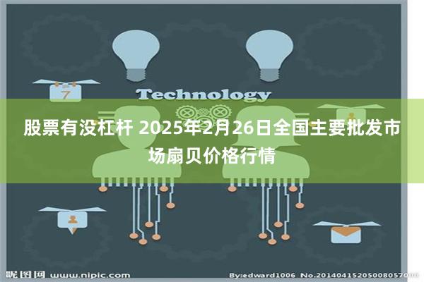 股票有没杠杆 2025年2月26日全国主要批发市场扇贝价格行情